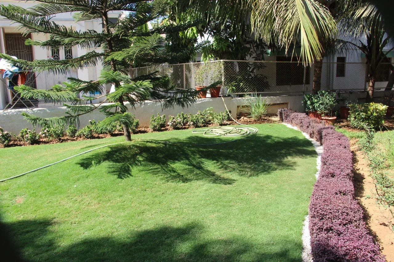Outdoor Gardens & Lawns