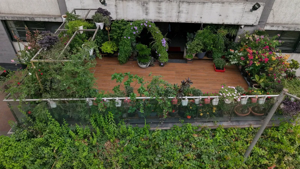 Terrace & Balcony Gardens